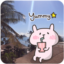 USA chim HAWAII sticker #15610198