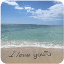 USA chim HAWAII sticker #15610202