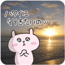 USA chim HAWAII sticker #15610207