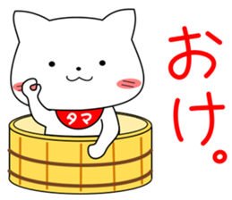 the theater of my pacey white cat "TAMA" sticker #15612069