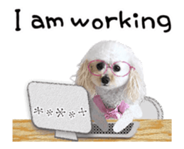 toy poodle "LUNLUN"-movie- English 4 sticker #15612875