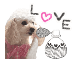 toy poodle "LUNLUN"-movie- English 4 sticker #15612877