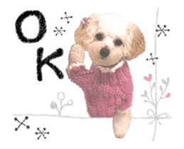 toy poodle "LUNLUN"-movie- English 4 sticker #15612878