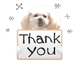 toy poodle "LUNLUN"-movie- English 4 sticker #15612879