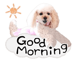 toy poodle "LUNLUN"-movie- English 4 sticker #15612880