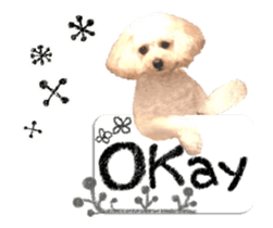 toy poodle "LUNLUN"-movie- English 4 sticker #15612881