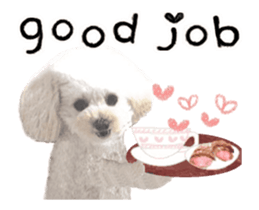 toy poodle "LUNLUN"-movie- English 4 sticker #15612882