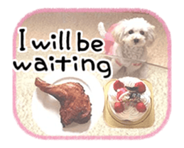 toy poodle "LUNLUN"-movie- English 4 sticker #15612884