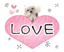 toy poodle "LUNLUN"-movie- English 4 sticker #15612886