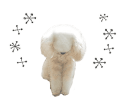toy poodle "LUNLUN"-movie- English 4 sticker #15612887