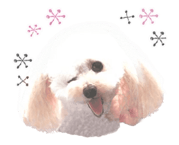 toy poodle "LUNLUN"-movie- English 4 sticker #15612888