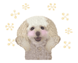 toy poodle "LUNLUN"-movie- English 4 sticker #15612889