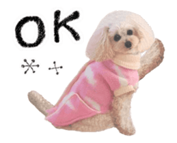 toy poodle "LUNLUN"-movie- English 4 sticker #15612891