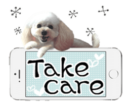 toy poodle "LUNLUN"-movie- English 4 sticker #15612894