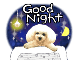 toy poodle "LUNLUN"-movie- English 4 sticker #15612896