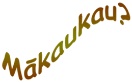 Hawaiian Hula Girl Leinani sticker #15612936