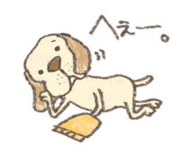 Kota. sticker #15613213