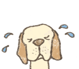 Kota. sticker #15613224