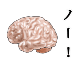 Class B joke sticker sticker #15613795