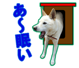 perori and lucy sticker #15614427