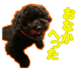 perori and lucy sticker #15614430
