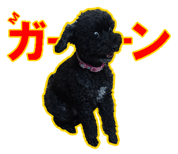 perori and lucy sticker #15614432