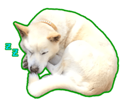 perori and lucy sticker #15614438