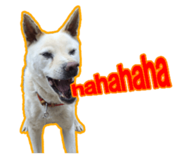 perori and lucy sticker #15614439
