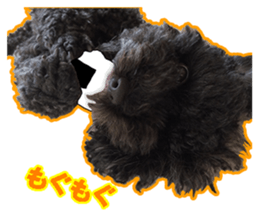 perori and lucy sticker #15614441