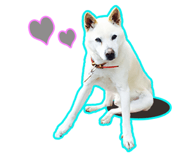 perori and lucy sticker #15614442
