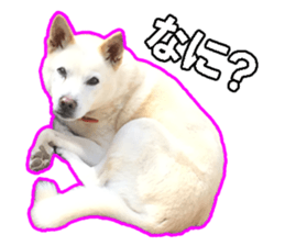 perori and lucy sticker #15614443