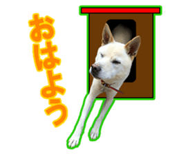 perori and lucy sticker #15614444