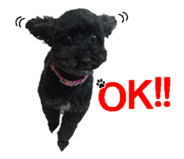 perori and lucy sticker #15614448