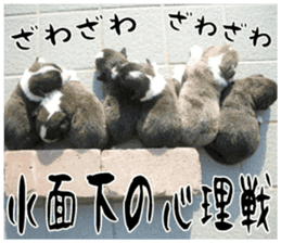 MIEDOG Welsh Corgi Cardigan sticker 11 sticker #15614513