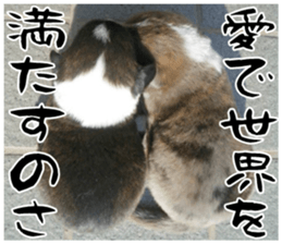 MIEDOG Welsh Corgi Cardigan sticker 11 sticker #15614529