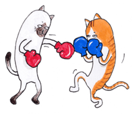 kotaro of a cat and a friend sticker #15614844