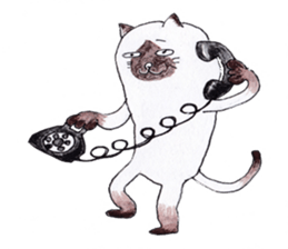 kotaro of a cat and a friend sticker #15614850