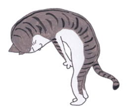 kotaro of a cat and a friend sticker #15614856