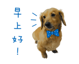 Mr. Tofu's line animated stickers (NO.1) sticker #15615170