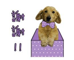 Mr. Tofu's line animated stickers (NO.1) sticker #15615171