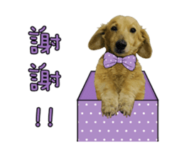 Mr. Tofu's line animated stickers (NO.1) sticker #15615171