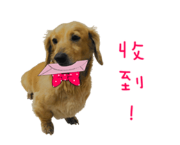 Mr. Tofu's line animated stickers (NO.1) sticker #15615172