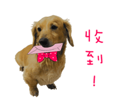 Mr. Tofu's line animated stickers (NO.1) sticker #15615172