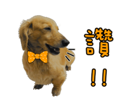 Mr. Tofu's line animated stickers (NO.1) sticker #15615173