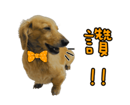 Mr. Tofu's line animated stickers (NO.1) sticker #15615173