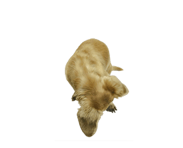 Mr. Tofu's line animated stickers (NO.1) sticker #15615174