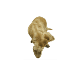 Mr. Tofu's line animated stickers (NO.1) sticker #15615174