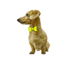 Mr. Tofu's line animated stickers (NO.1) sticker #15615175