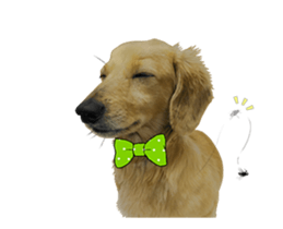 Mr. Tofu's line animated stickers (NO.1) sticker #15615176