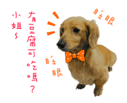 Mr. Tofu's line animated stickers (NO.1) sticker #15615178